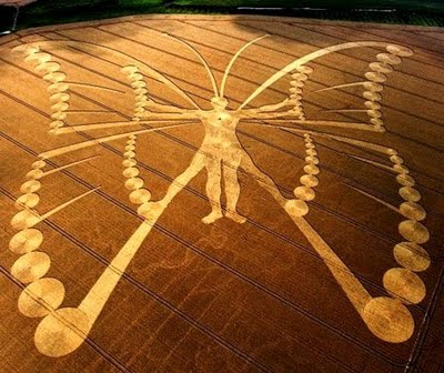 Netherlands Butterfly Metamorphosis Transformation Crop Circle